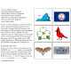 VIRGINIA State Symbols ADAPTED BOOK for Special Education and Autism